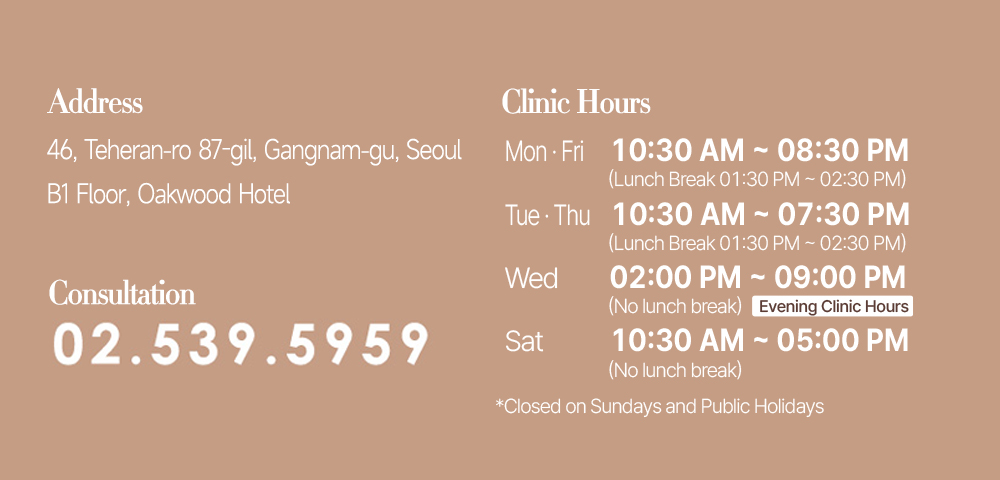 지도텍스트