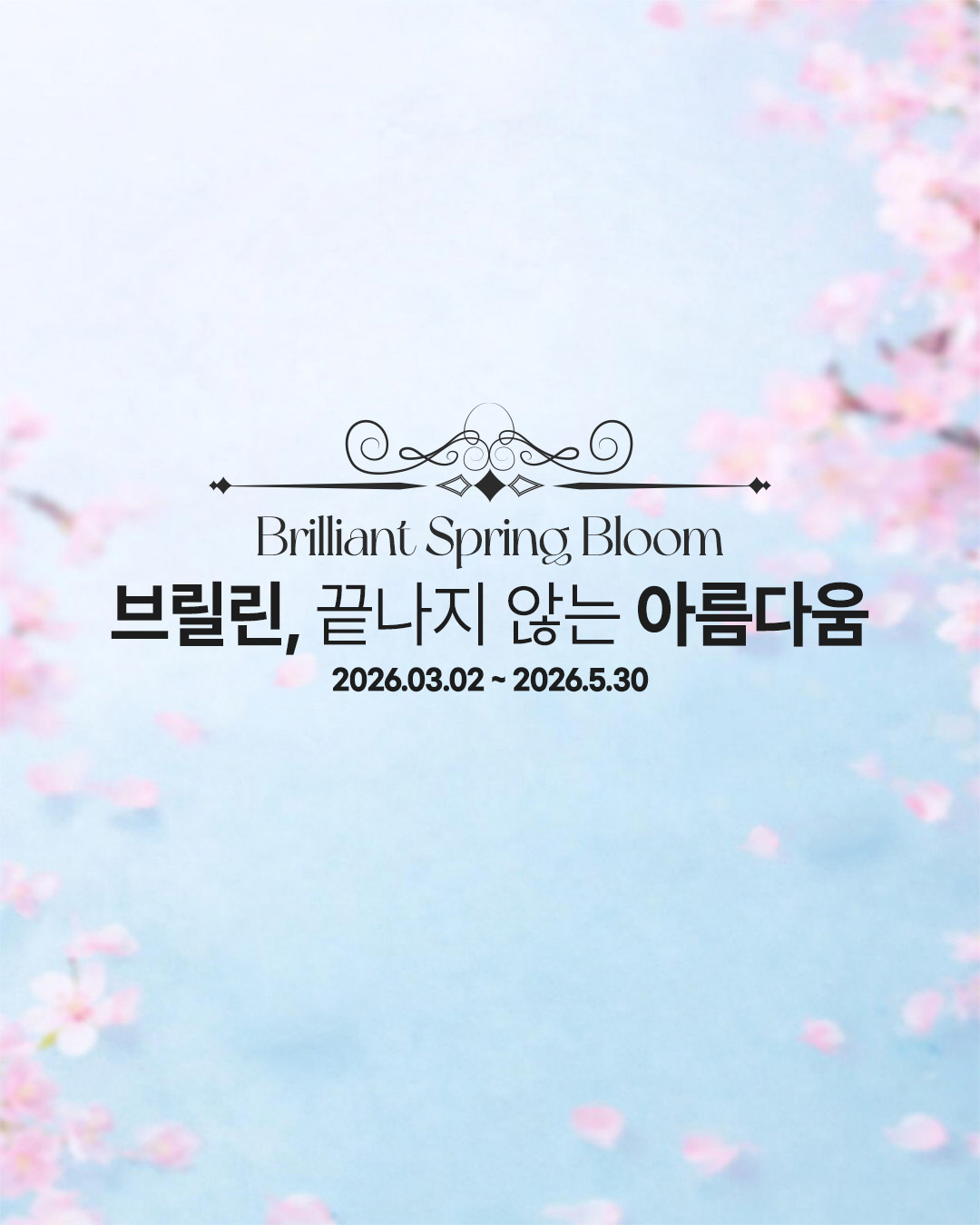 2026 봄 이벤트